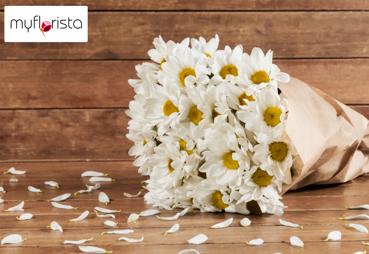 White Flowers for Funeral: A Gentle Way to Say Goodbye