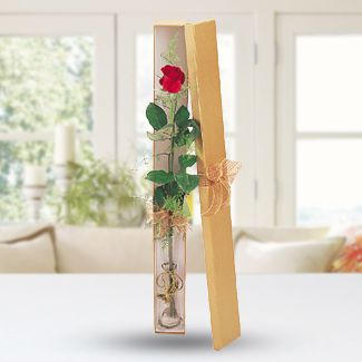 Single Rose In A Box