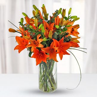Stunning Orange Lilies