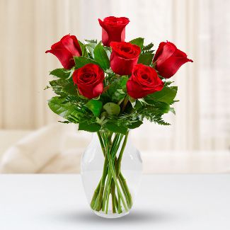 6 Love Roses