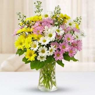 Mixed Daisies in a Vase