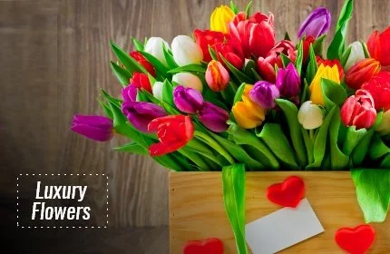 Luxury Flowers Delivery